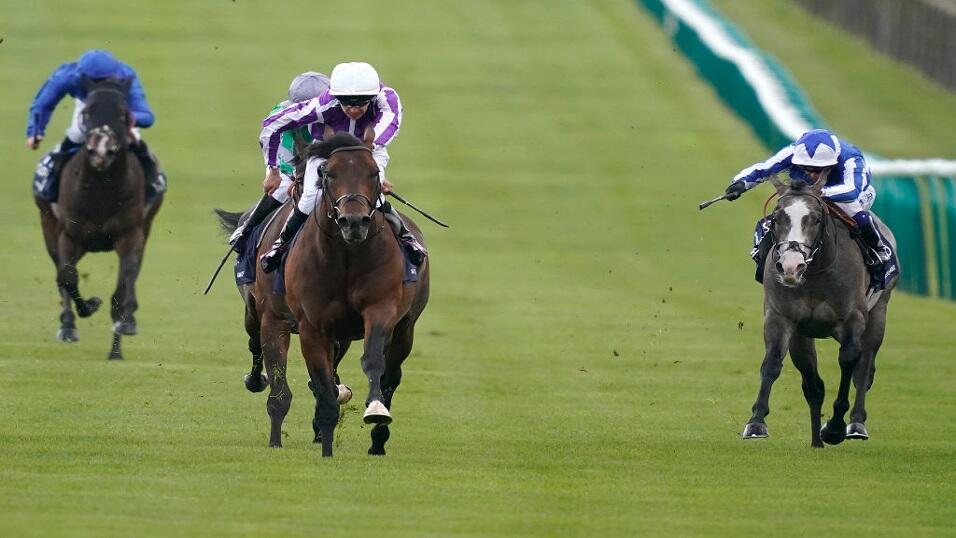 Magna Grecia winning the 2000 Guineas